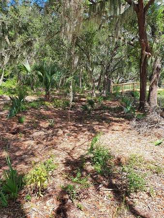 Photo of 2621 Anchor Watch Dr Lot 63, Wadmalaw Island, SC 29487