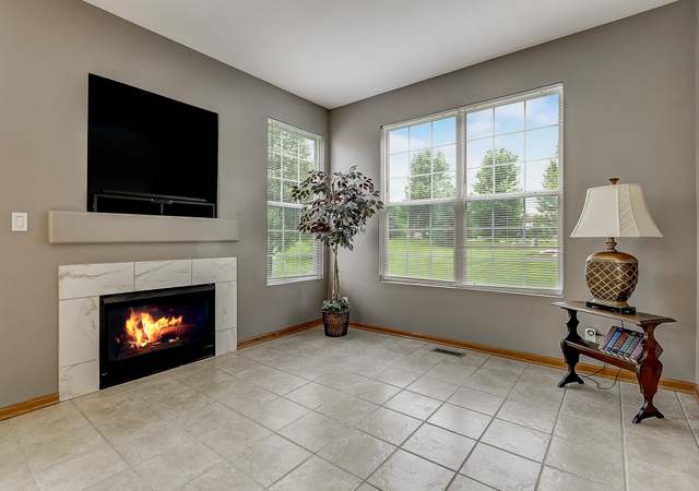 Photo of 217 Grays Dr, Oswego, IL 60543