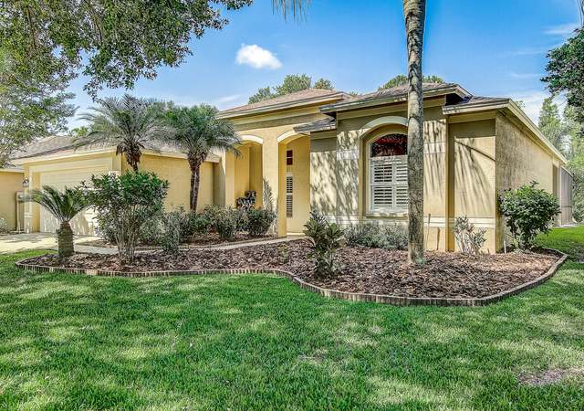 Photo of 10205 Timberland Point Dr, Tampa, FL 33647