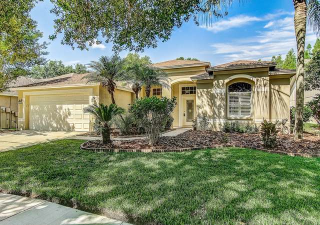 Photo of 10205 Timberland Point Dr, Tampa, FL 33647