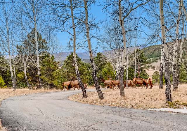 Photo of 34317 Squaw Pass Rd, Evergreen, CO 80439