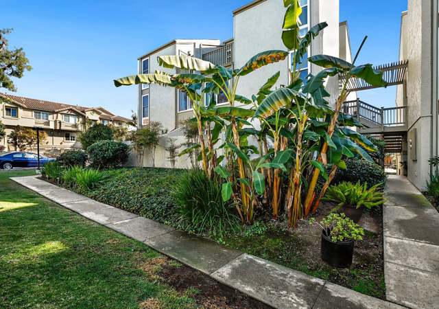 Photo of 4095 Harrison St #3, Carlsbad, CA 92008