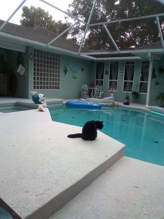 Property at 36816 Taylor Mill Rd, Fruitland Park, FL 34731, 3 beds, 2 baths