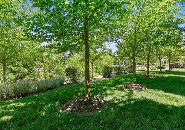 Photo of 42454 Great Heron Sq, Brambleton, VA 20148
