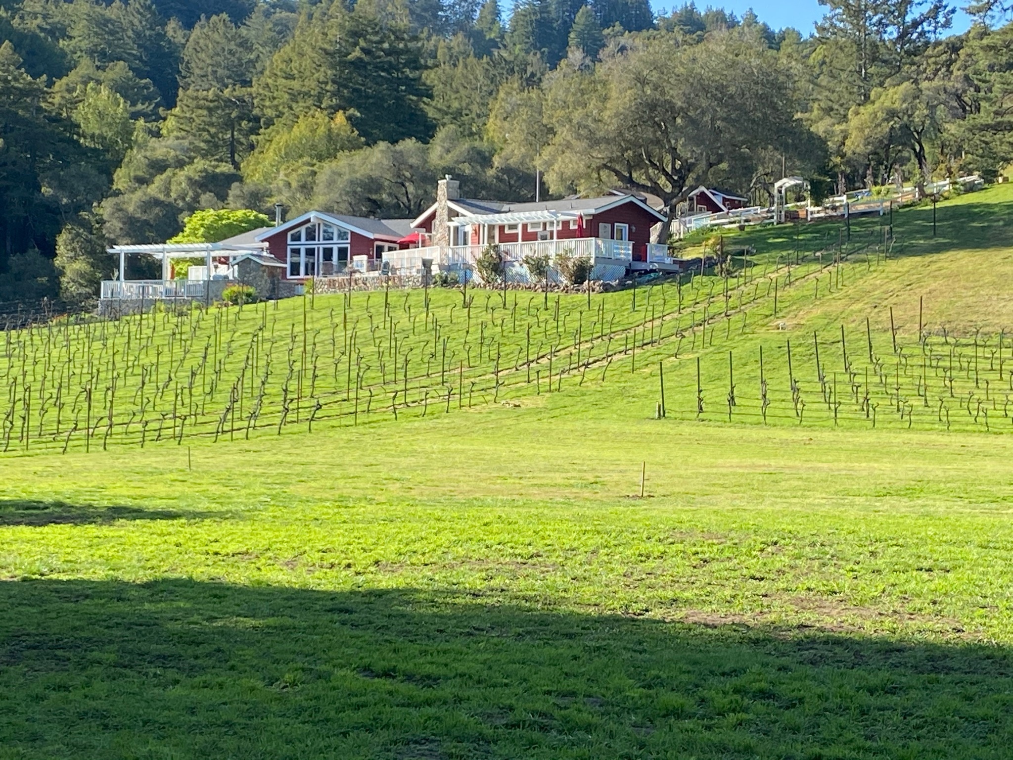 Movies In Scotts Valley California - uxa3r7r