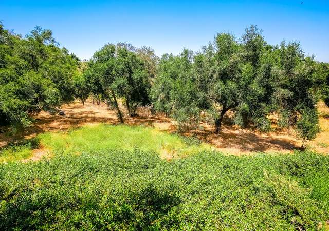 Photo of 10254 Spruce Woodlands Way, Escondido, CA 92026