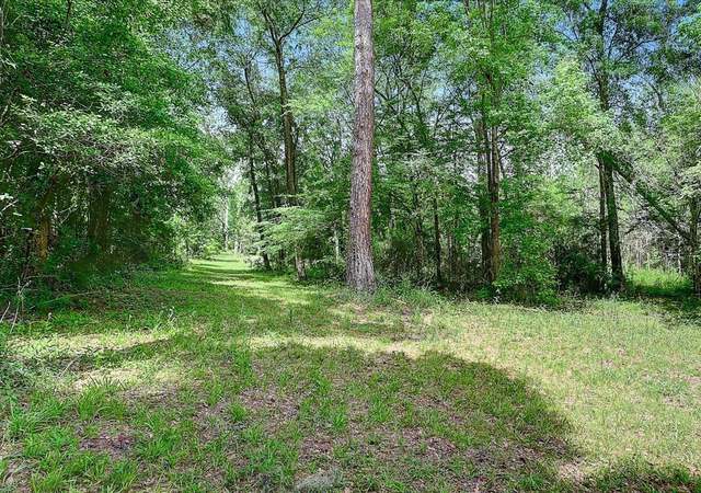Photo of 29319 NW County Road 241, Alachua, FL 32615