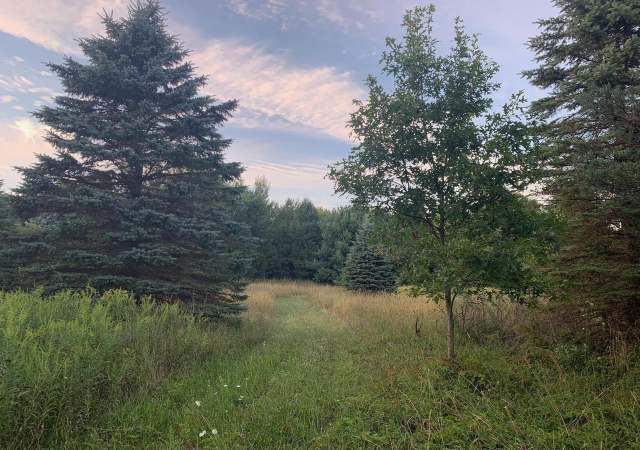 Photo of 8167 Skyhill Ln, Newaygo, MI 49337