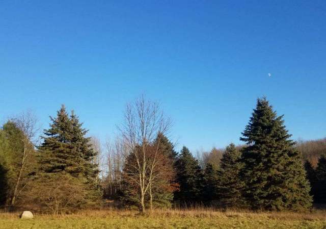 Photo of 8167 Skyhill Ln, Newaygo, MI 49337
