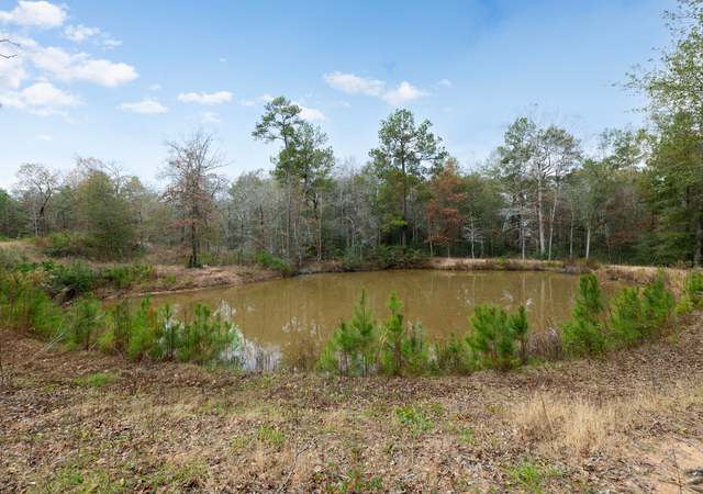 Photo of 23506 High Meadow Estates Dr, Montgomery, TX 77316