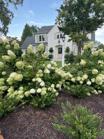 Property at 4404 Yadkin Dr, Raleigh, NC 27609, 5 beds, 5 baths