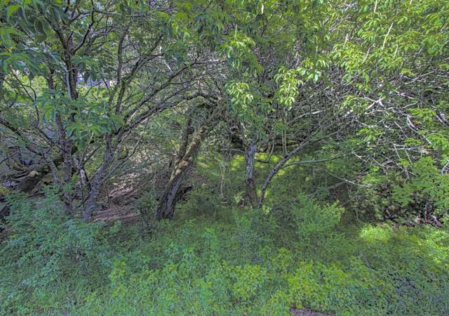 Photo of 0 Sylvan Way, Redwood City, CA 94062