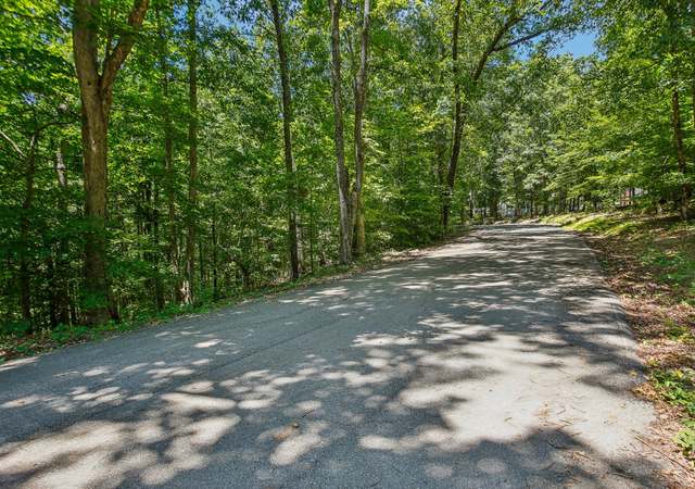 Property at 4645 Frankie Rd, Indian Mound, TN 37079