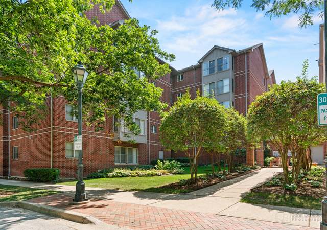 Photo of 27 E Hattendorf Ave #517, Roselle, IL 60172