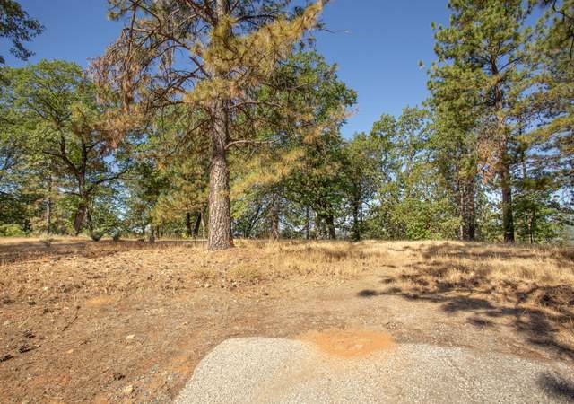 Photo of 4130 Ampezo Pl, Foresthill, CA 95631