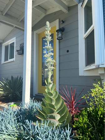 Photo of 6819 Cowles Mountain Blvd, San Diego, CA 92119