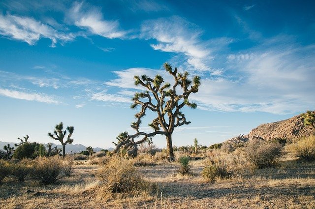 dry desert landscape with heat risk